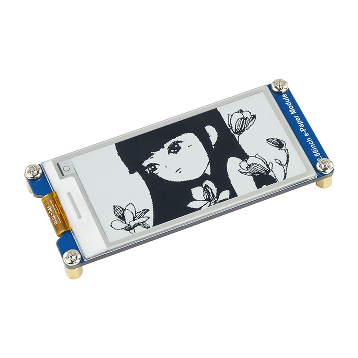 AA08-E – модуль электронного д – обзор и цена Pi Display